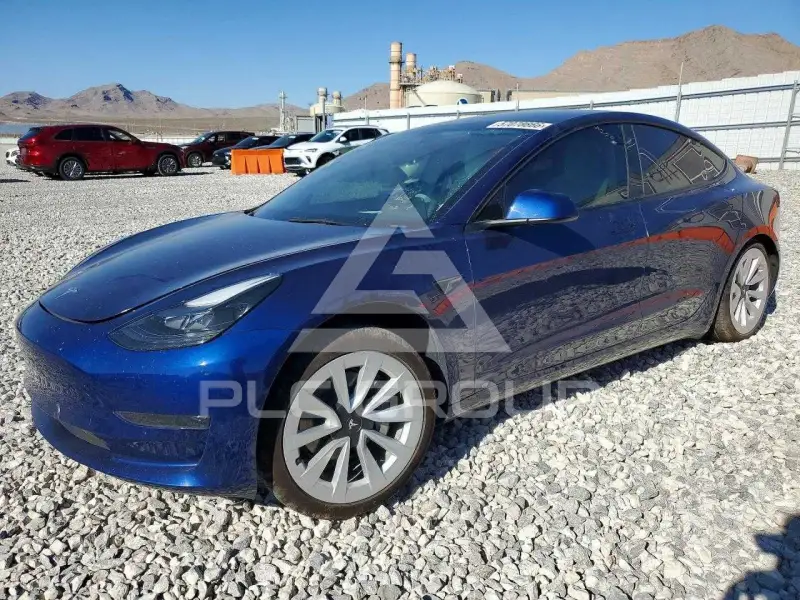2023 Tesla Model 3 фото