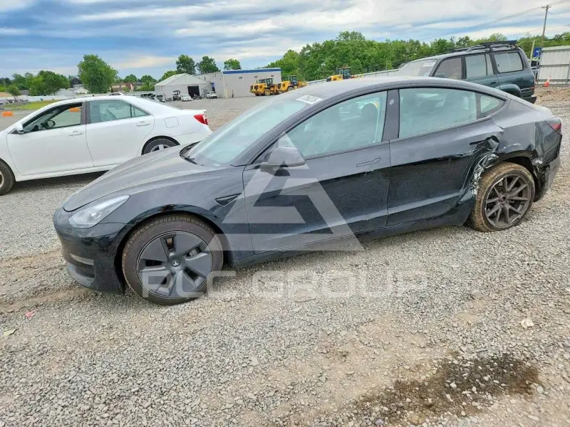 2023 Tesla Model 3 фото