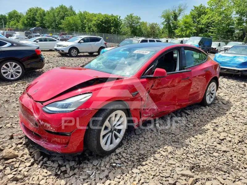 2023 Tesla Model 3 photo