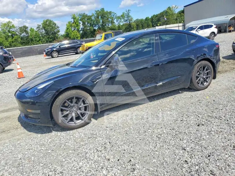 2023 Tesla Model 3 фото