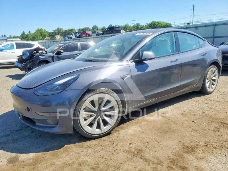 2023 Tesla Model 3 фото