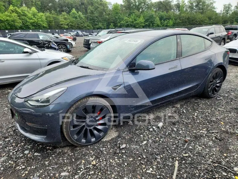 2023 Tesla Model 3 фото