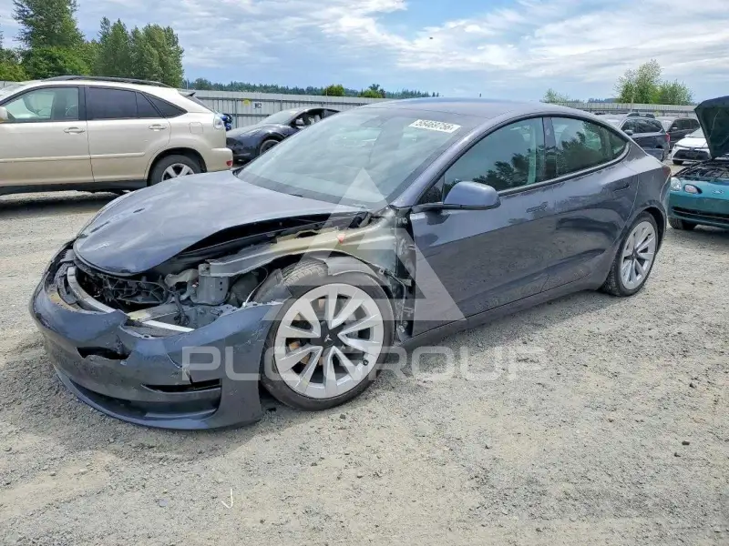 2023 Tesla Model 3 photo