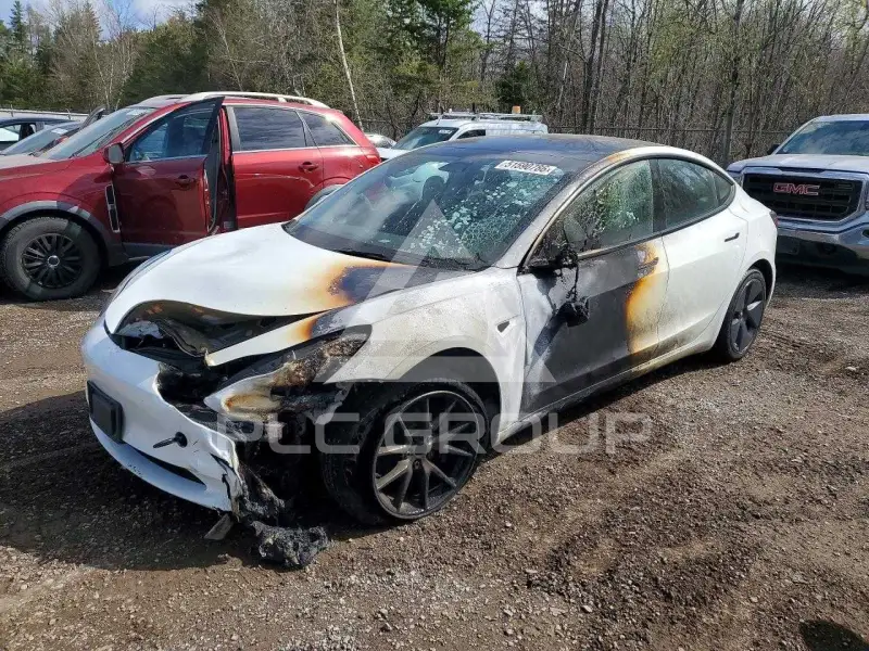 2023 Tesla Model 3 photo