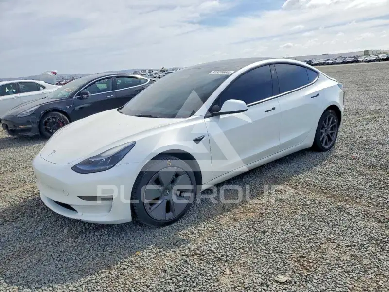 2023 Tesla Model 3 photo