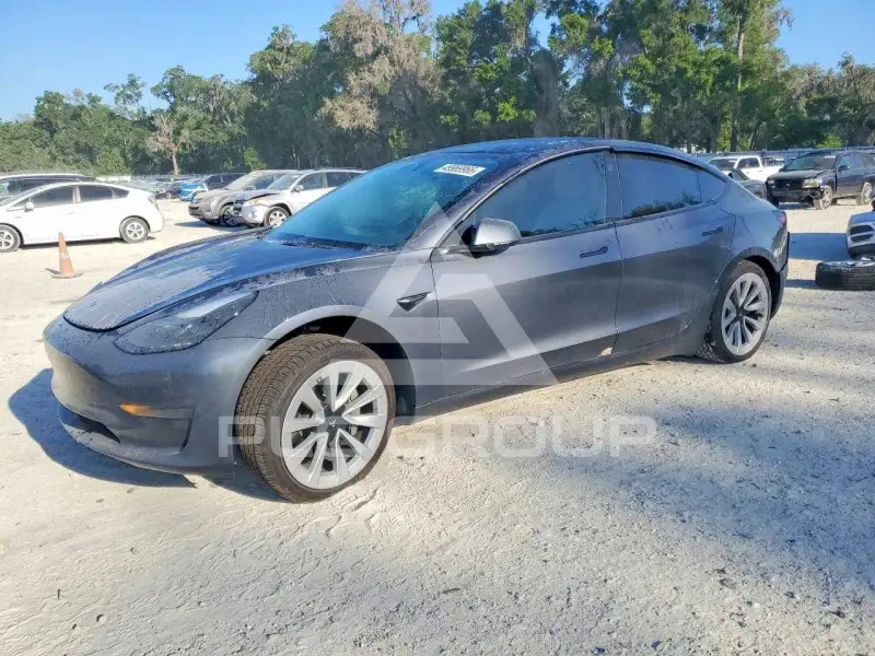 2023 Tesla Model 3 photo