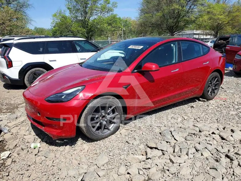 2023 Tesla Model 3 photo