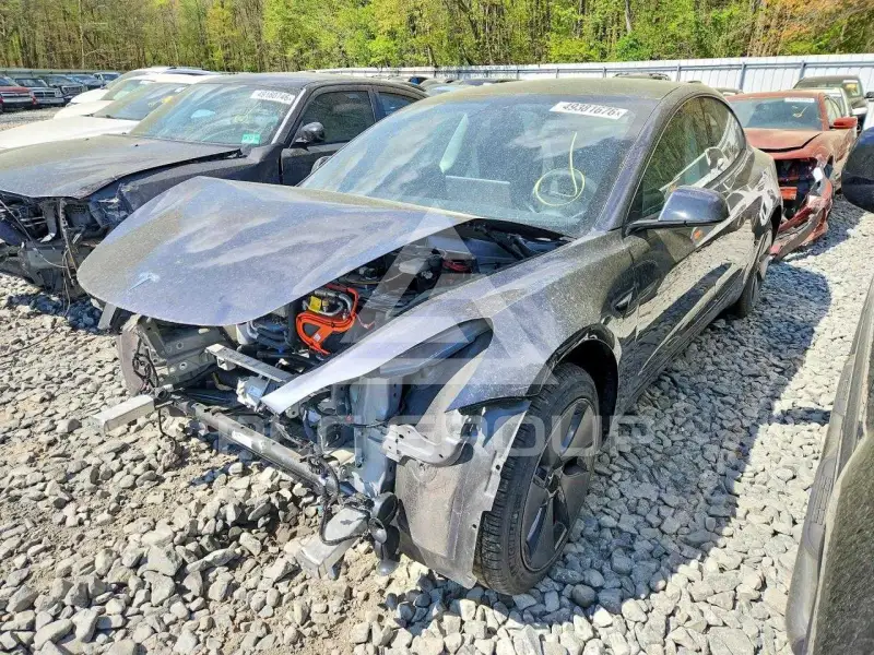 2023 Tesla Model 3 фото