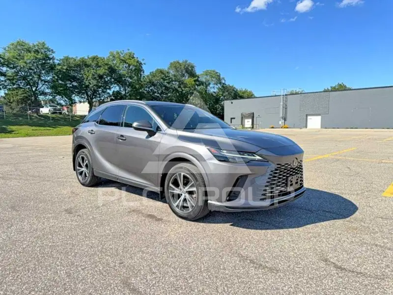 2023 Lexus RX300 photo
