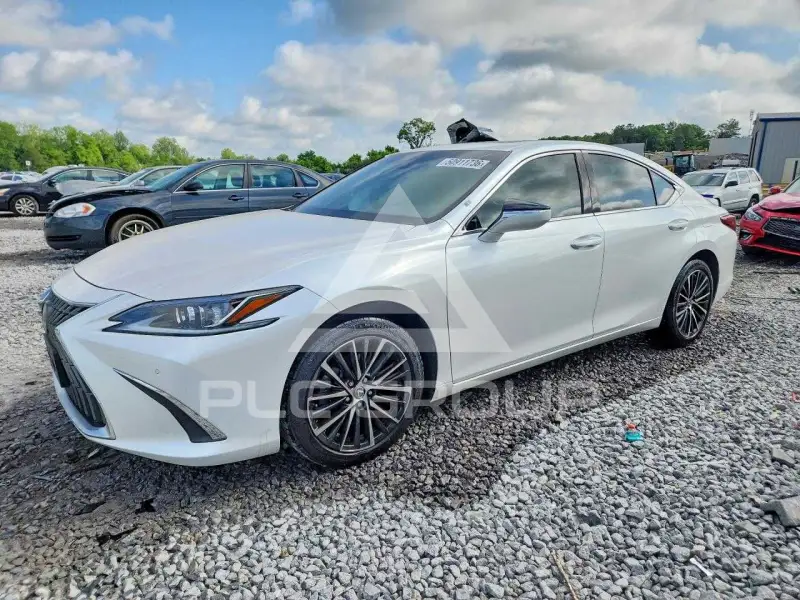 2023 Lexus ES250 фото