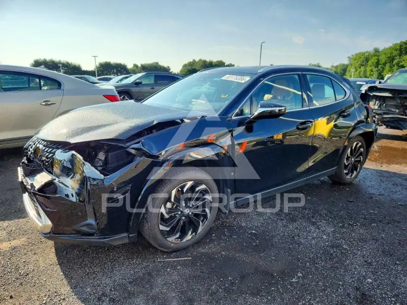 2023 Lexus  photo
