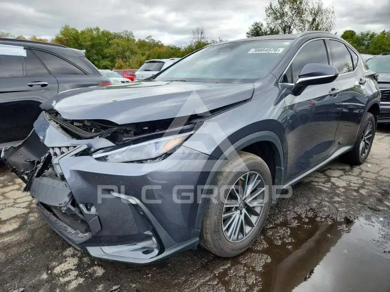 2023 Lexus NX photo