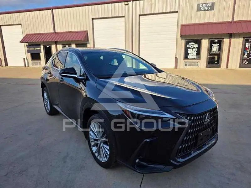 2023 Lexus NX photo