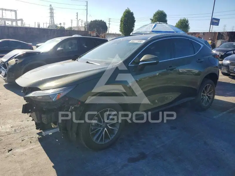 2023 Lexus NX фото