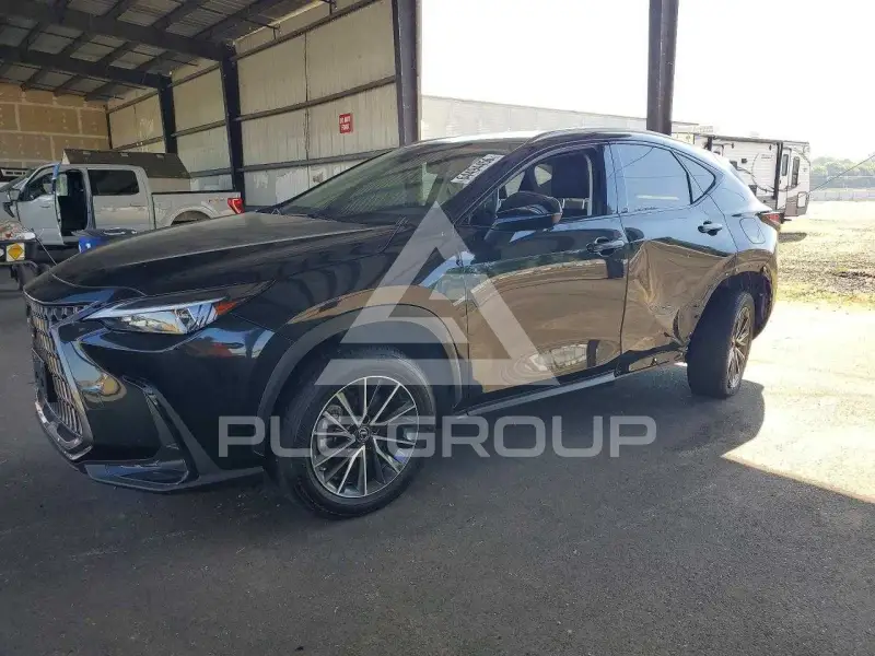2023 Lexus NX фото