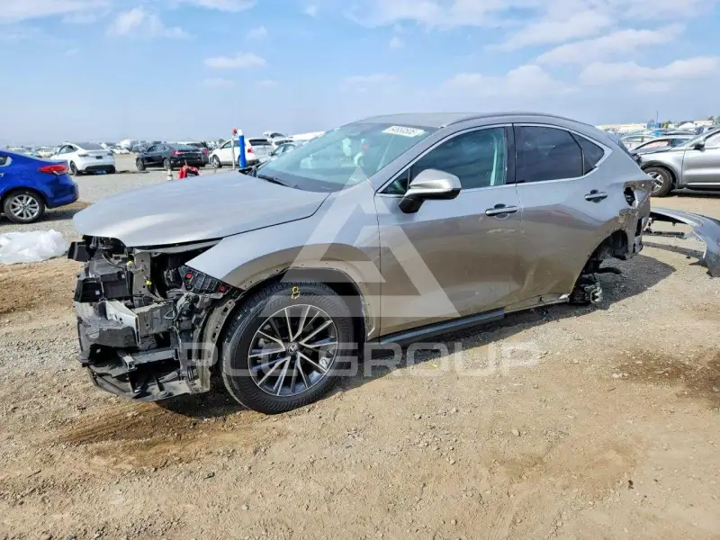 2023 Lexus NX фото