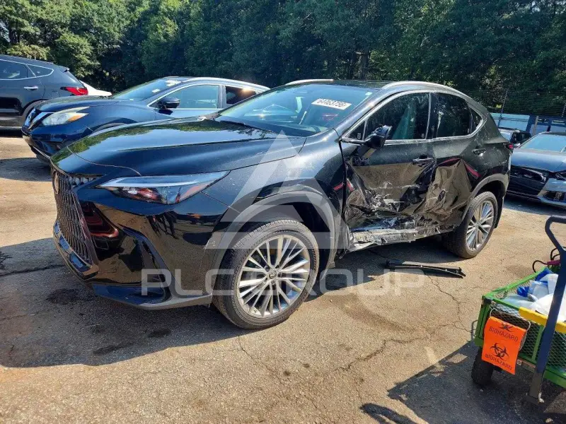 2023 Lexus NX photo