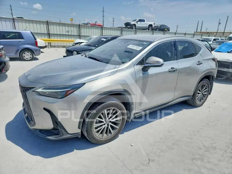 2023 Lexus NX250 photo