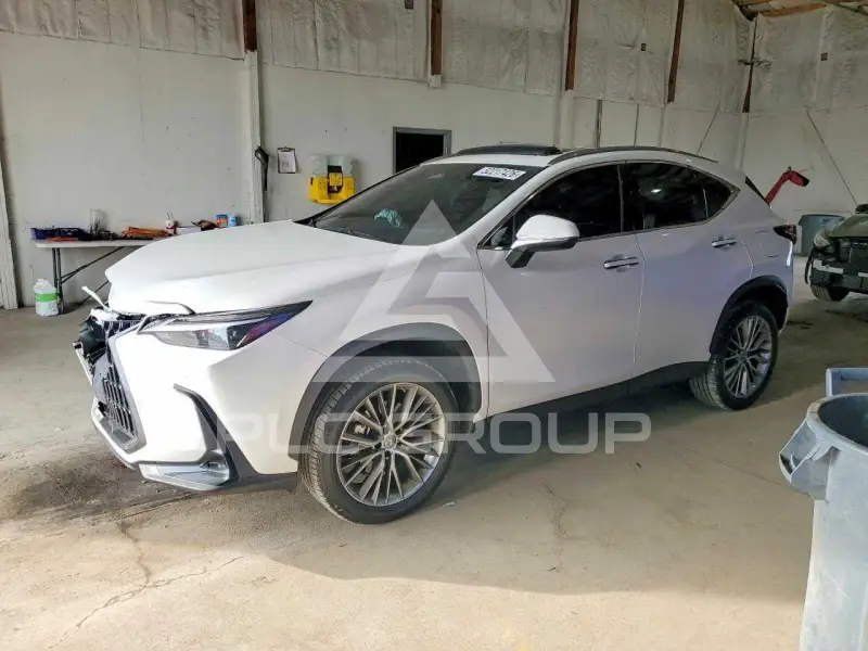 2023 Lexus NX250 фото