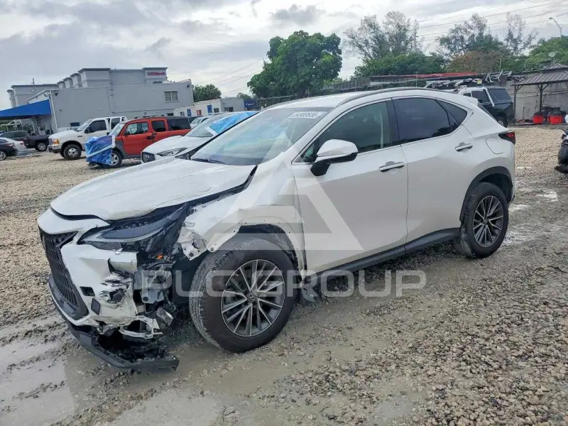 2023 Lexus NX250 фото
