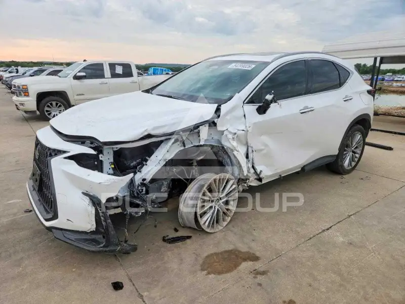 2023 Lexus NX фото
