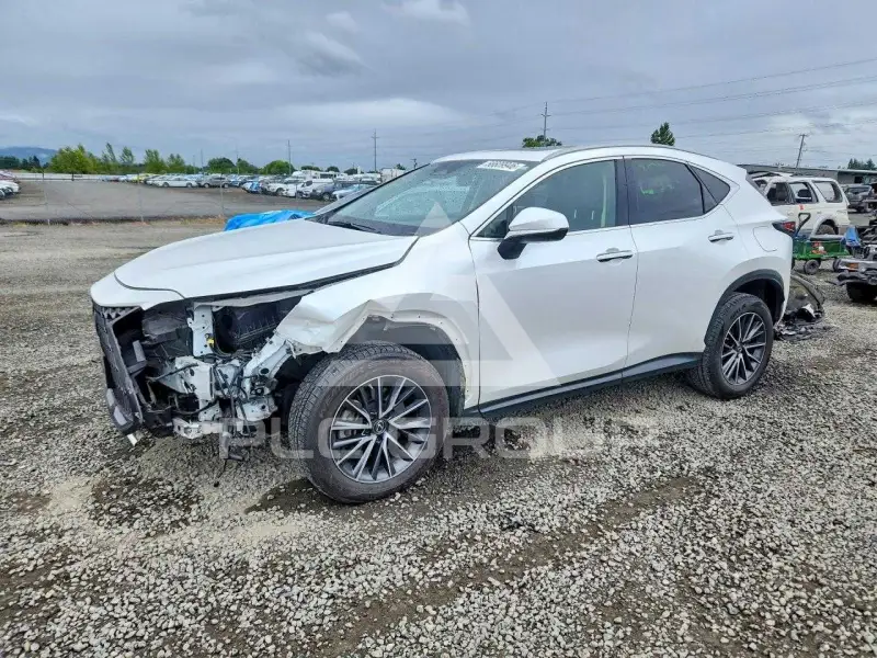 2023 Lexus NX photo