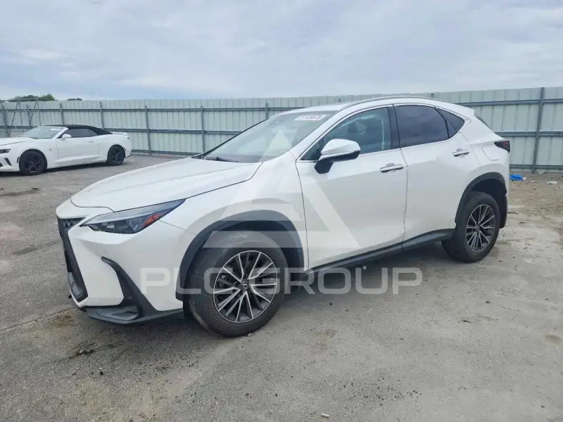 2023 Lexus NX250 фото