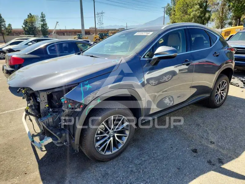 2023 Lexus NX photo