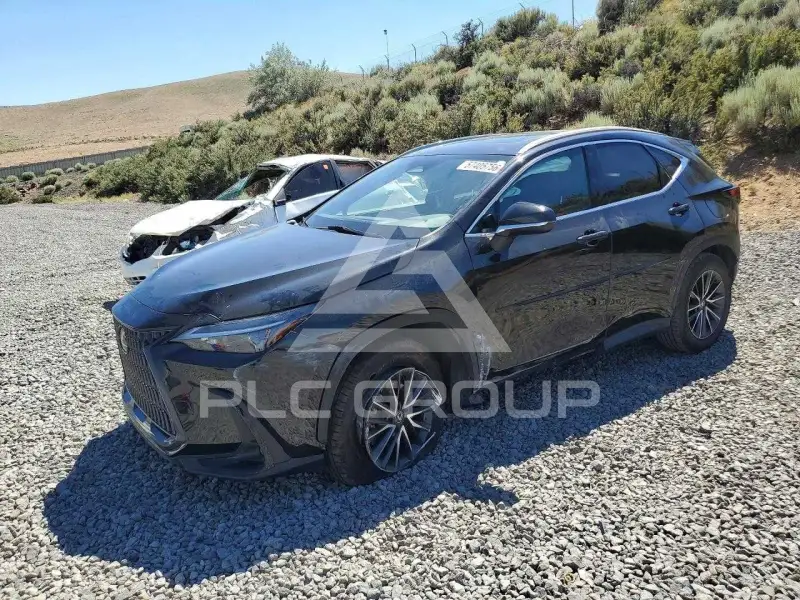 2023 Lexus NX фото