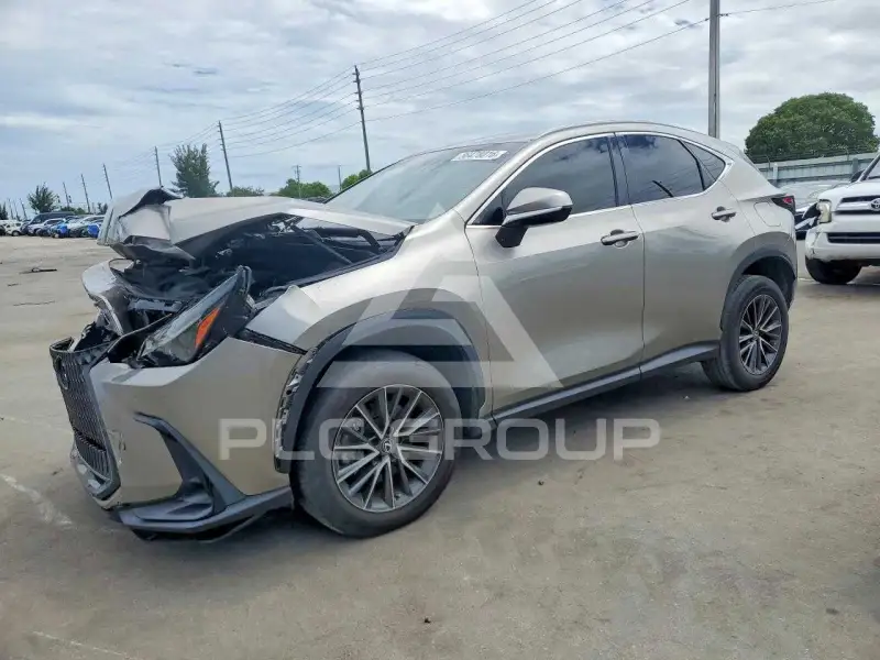 2023 Lexus NX фото