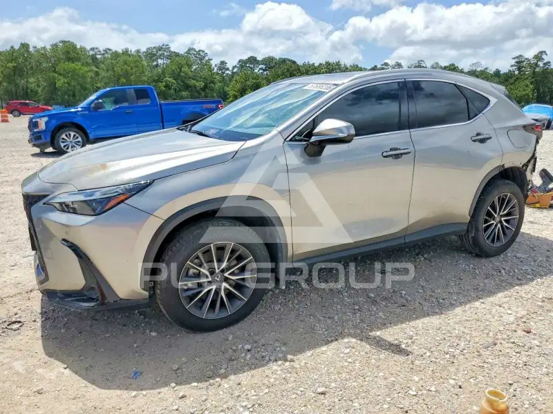 2023 Lexus NX фото