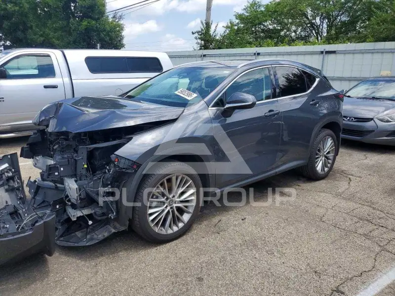 2023 Lexus NX фото