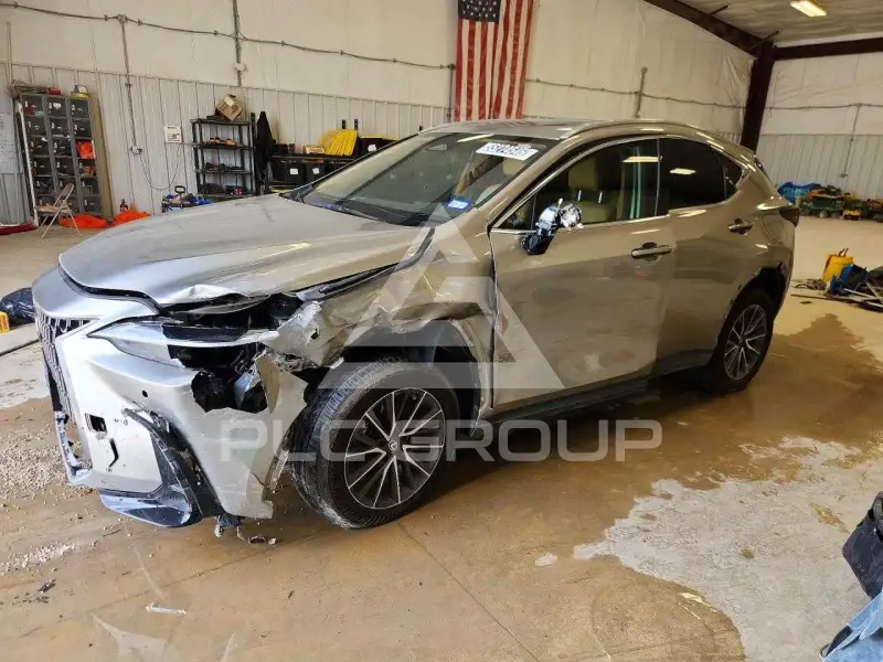 2023 Lexus NX фото