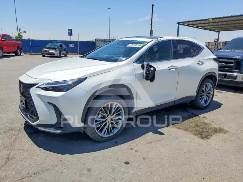 2023 Lexus NX photo