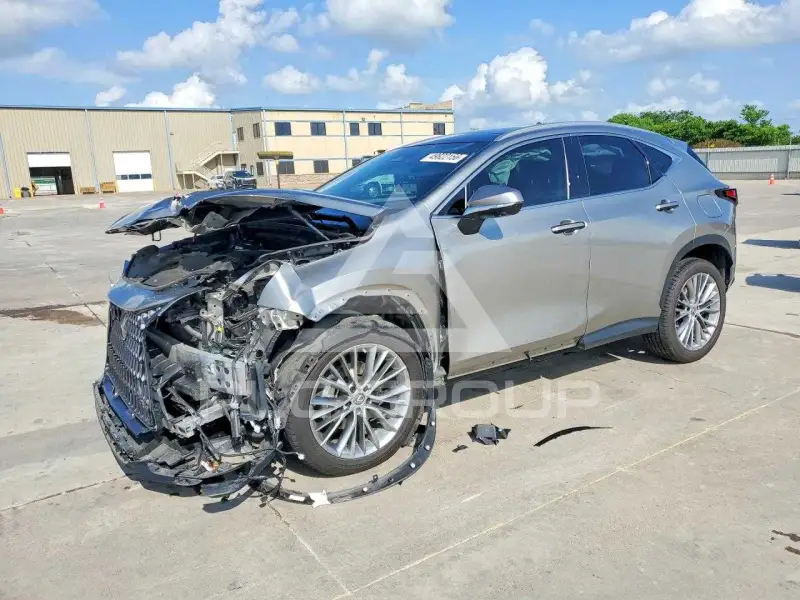 2023 Lexus NX фото