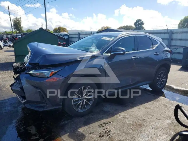 2023 Lexus NX фото