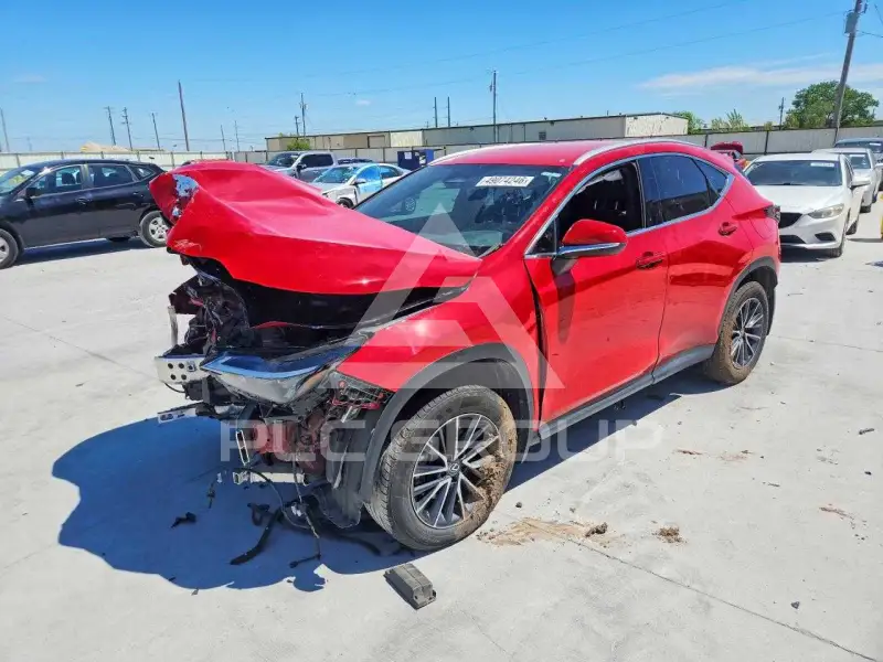 2023 Lexus NX фото