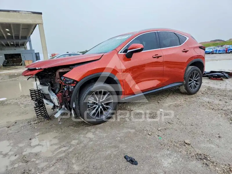 2023 Lexus NX фото