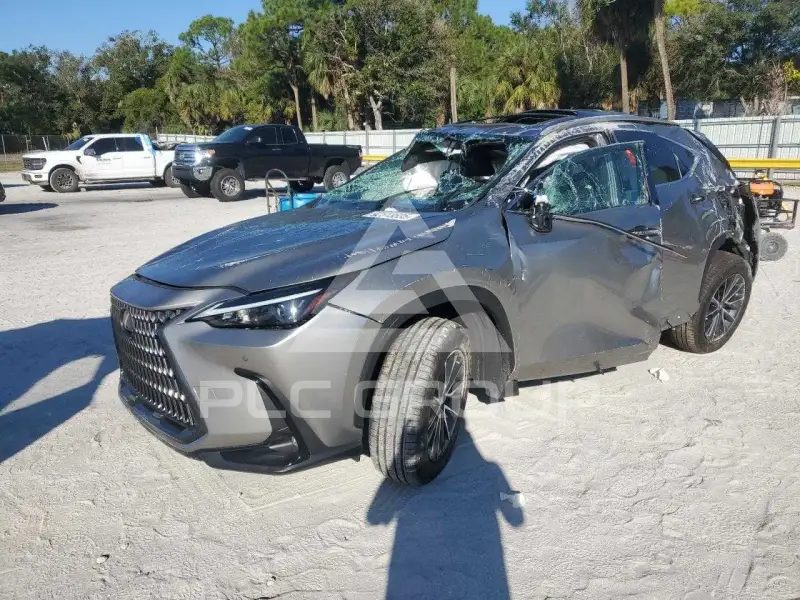 2023 Lexus NX250 фото