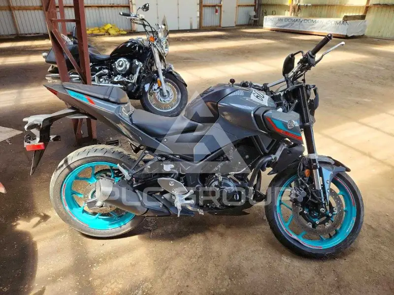 2023 Yamaha  фото