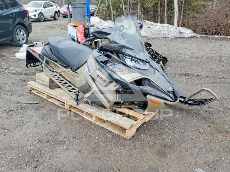 2023 Yamaha  фото
