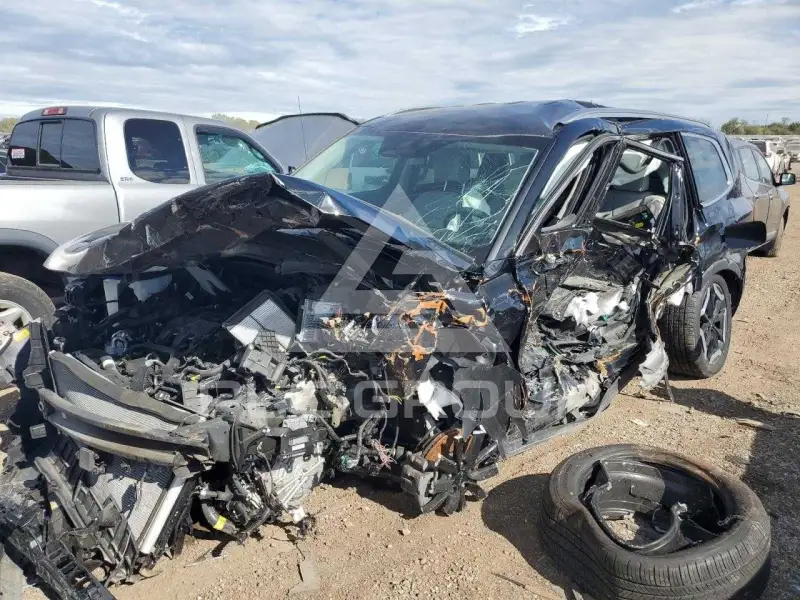 2023 KIA Telluride photo