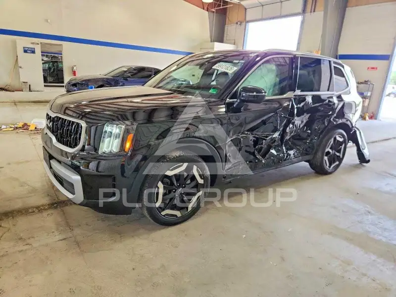 2023 KIA Telluride photo