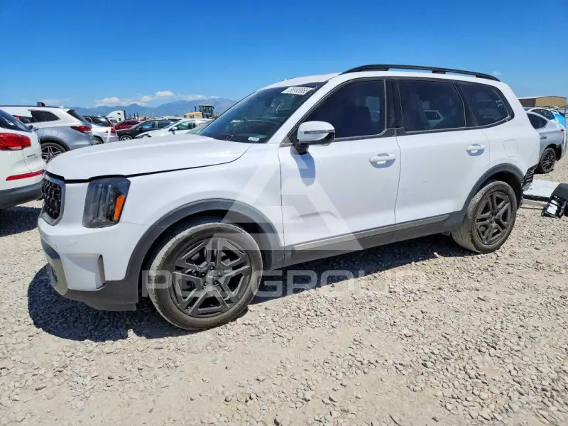 2023 KIA Telluride photo