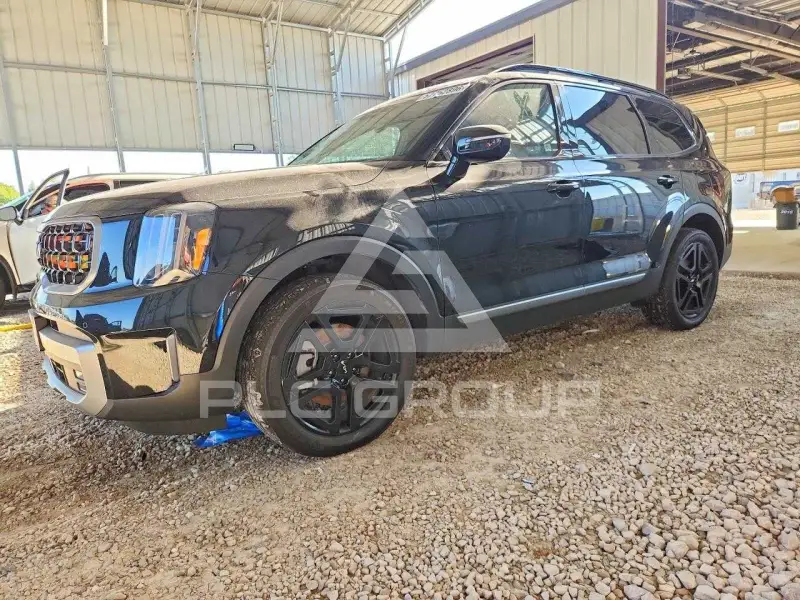 2023 KIA Telluride photo