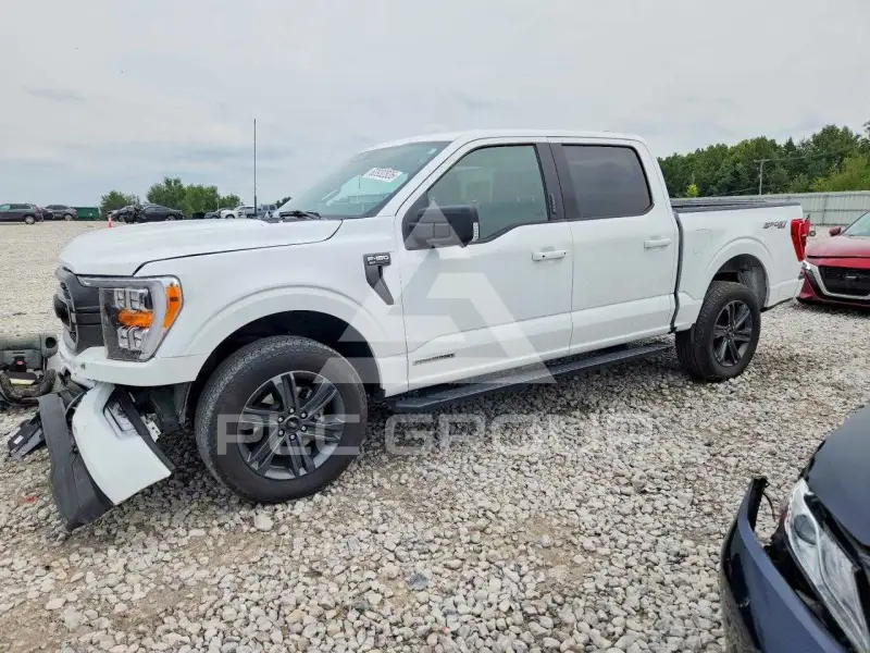 2023 Ford F-150 photo