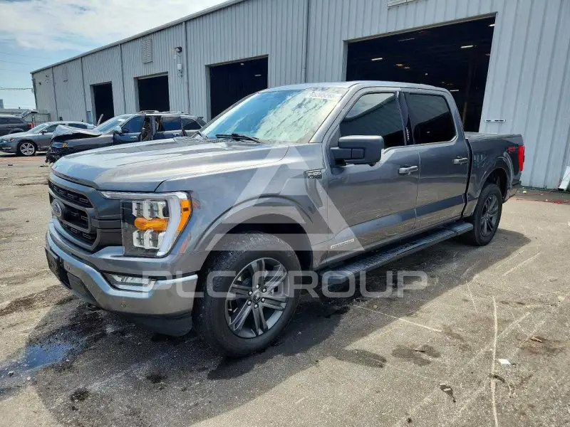 2023 Ford F-150 фото