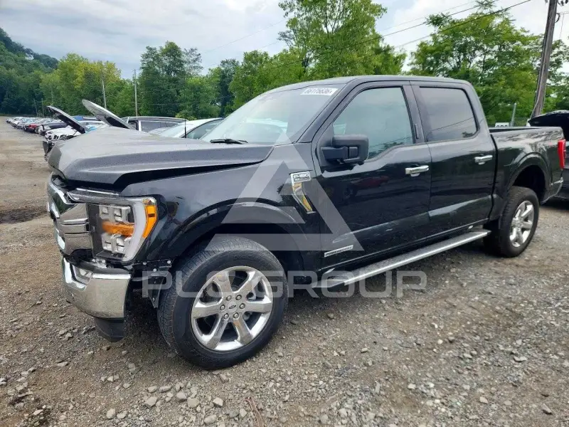 2023 Ford F-150 фото