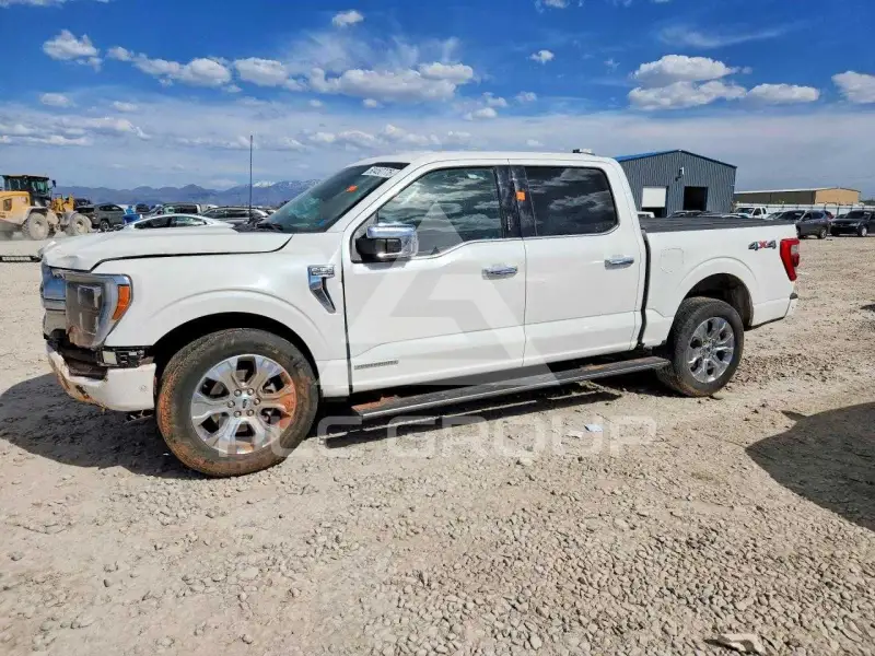 2023 Ford F-150 photo