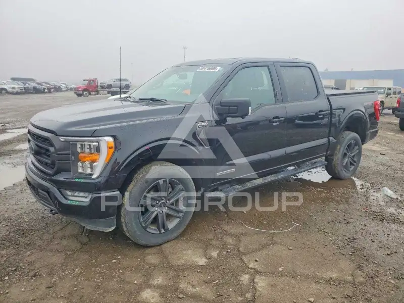 2023 Ford F-150 фото